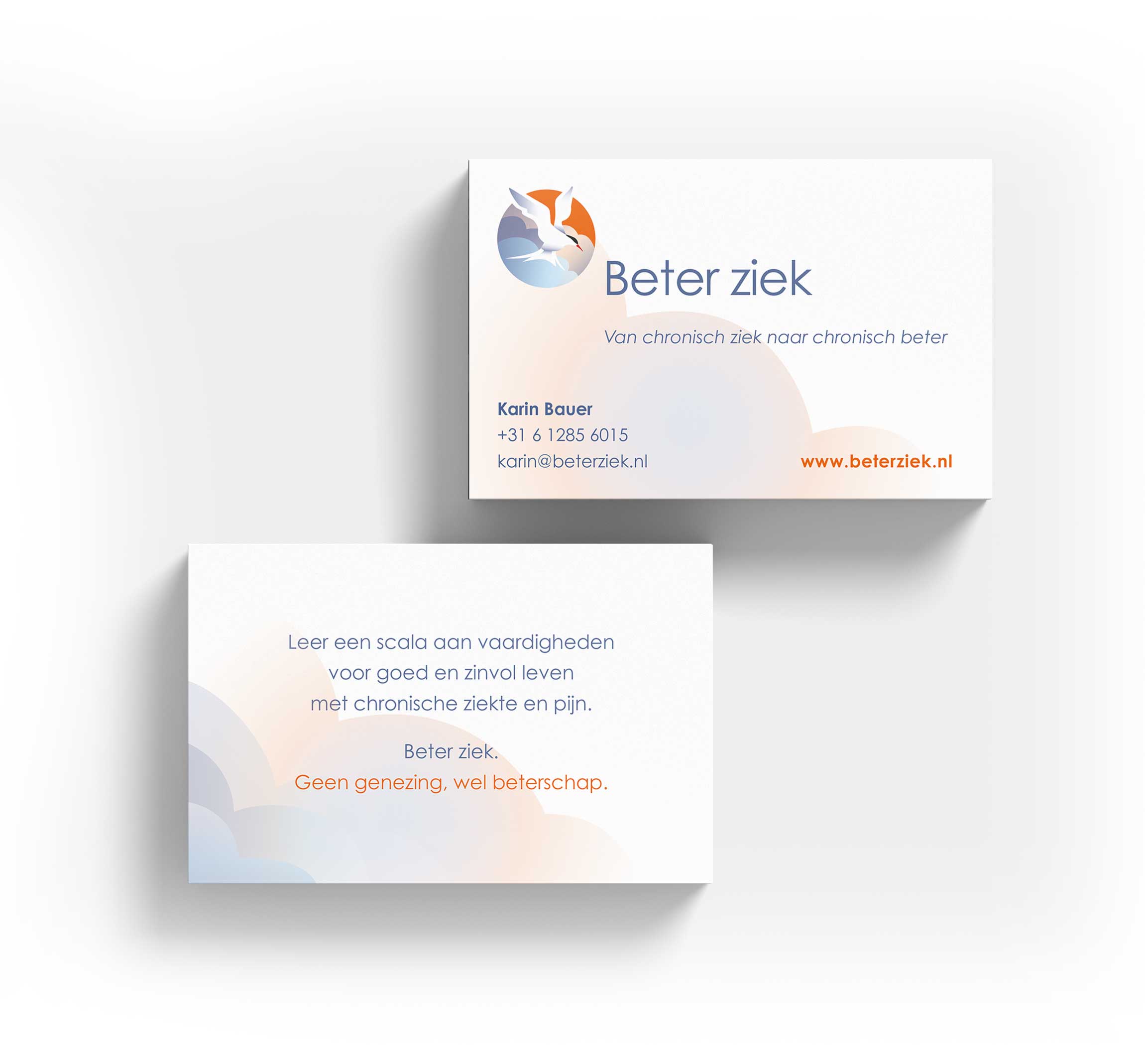 Huisstijl en website voor Beter ziek