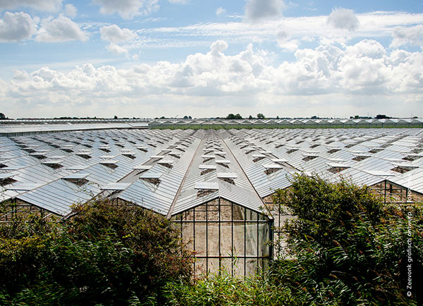 Portfolio Fotografie vrij werk