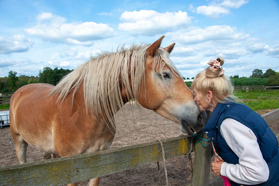 webdesign en fotografie voor Stichting Opherme