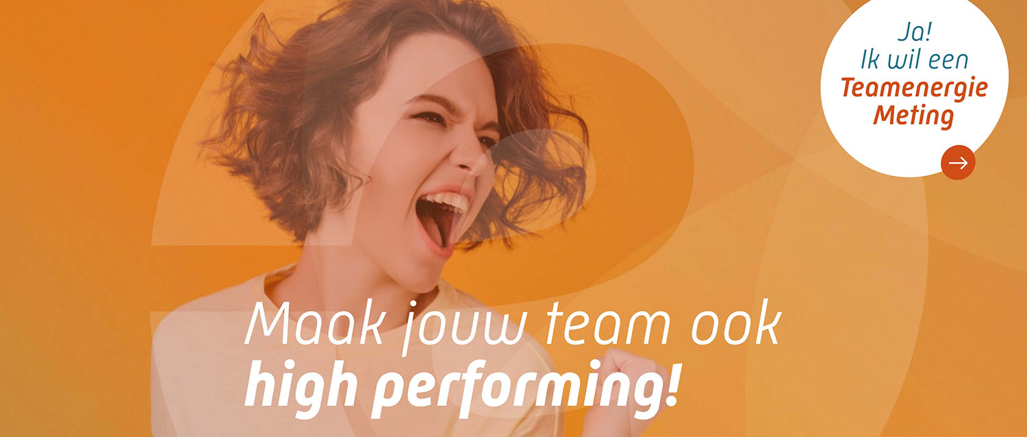 Huisstijl en webdesign voor Teamenergie