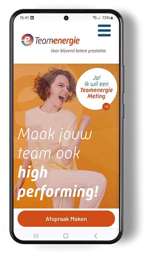 Huisstijl en webdesign voor Teamenergie