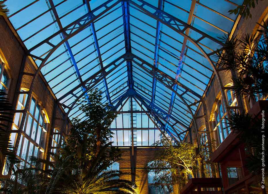 Productfotografie voor X-Bright lichtkunst