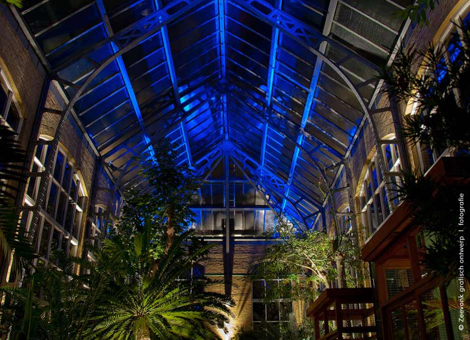 Productfotografie voor X-Bright lichtkunst